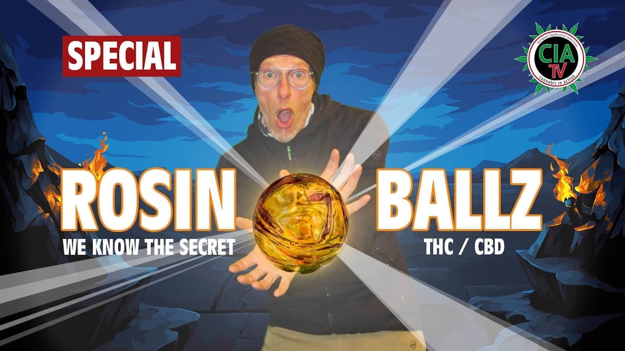 Das Geheimnis der Rosin Balls - So siehts aus, so wird es gemacht