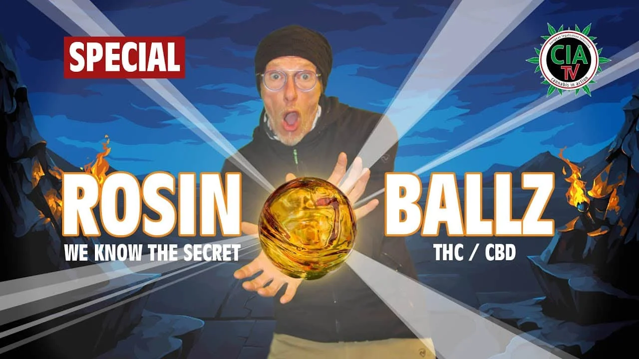Das Geheimnis der Rosin Balls - So siehts aus, so wird es gemacht