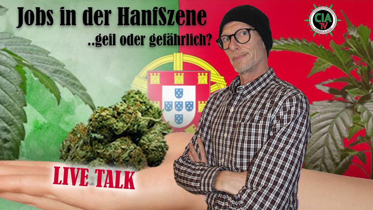 Jobs in der Hanfszene - Geil oder Gefährlich?