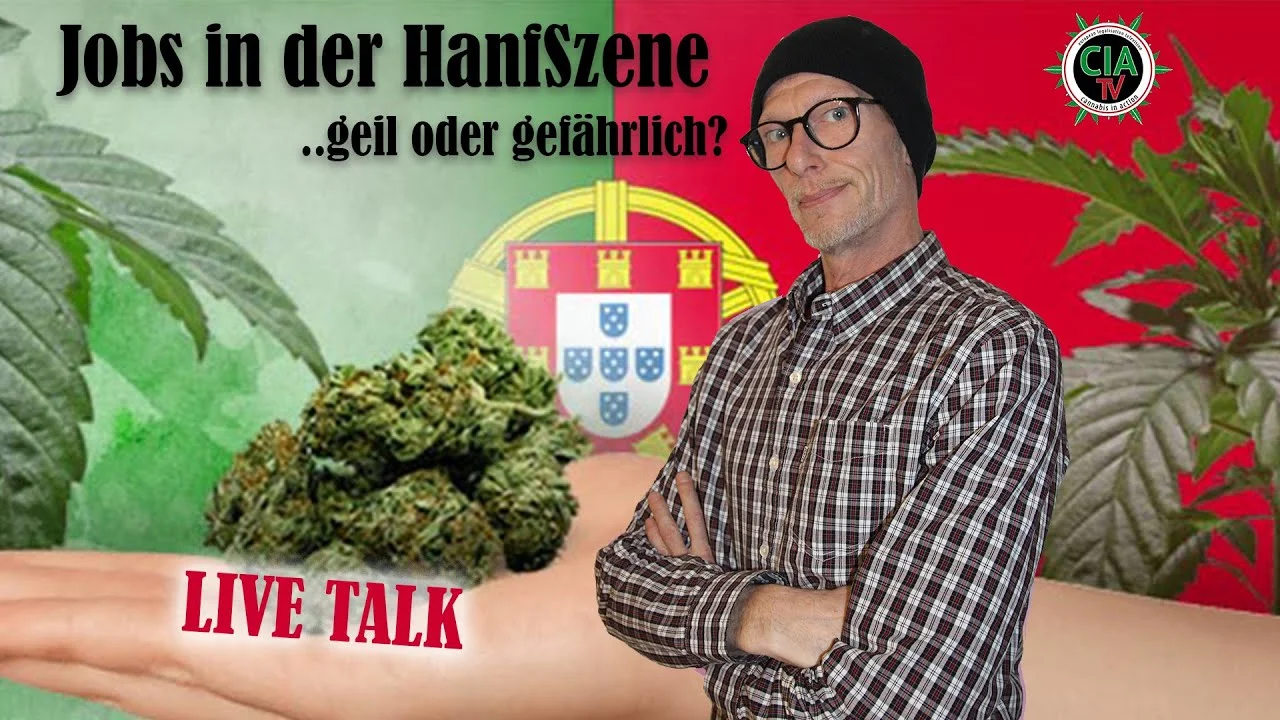Jobs in der Hanfszene - Geil oder Gefährlich?