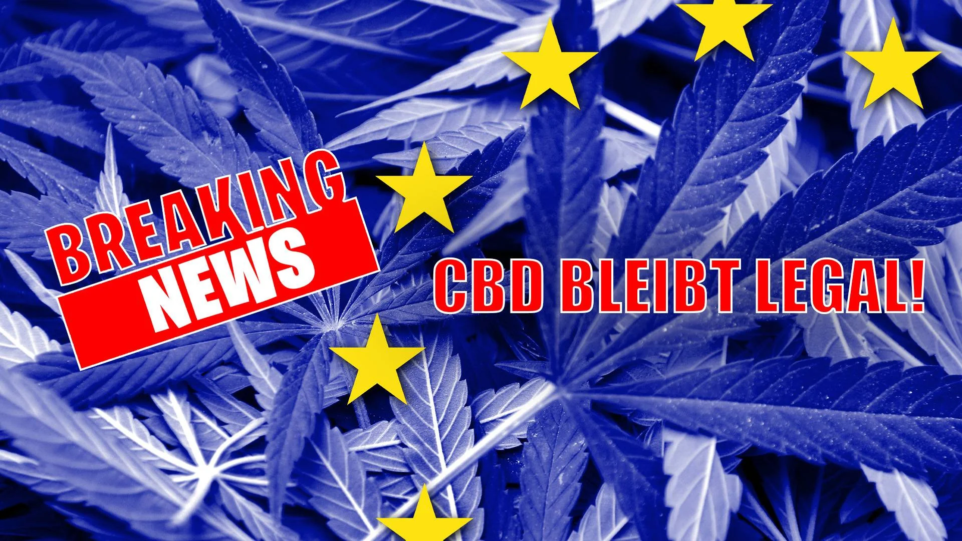 Bildergebnis für cbd