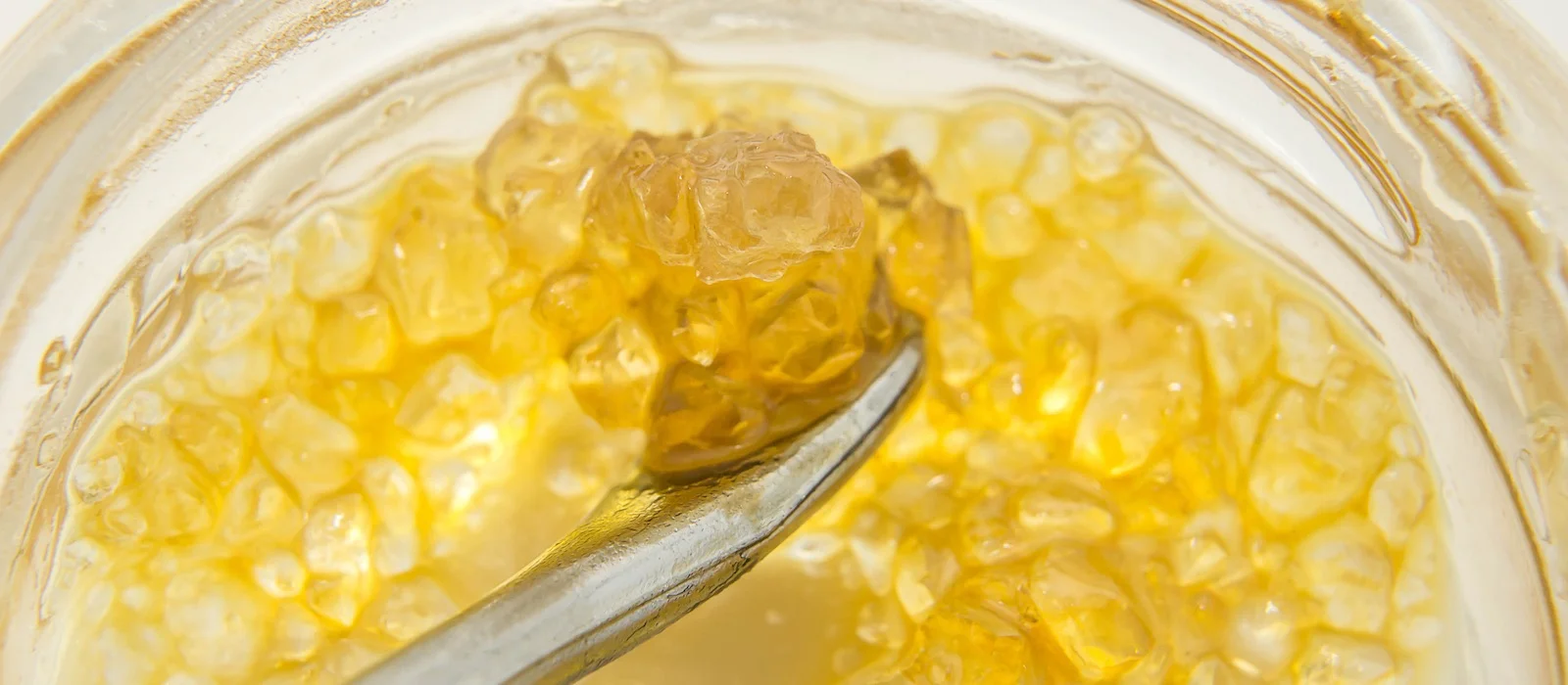 Terp sauce, the terpene concentrate that is taking over the cannabis extraction industry